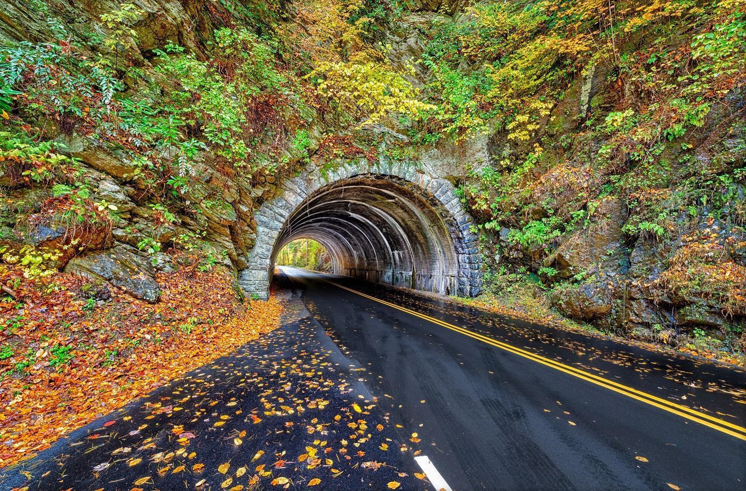 Hemlock Hollow Sevierville Exteriör bild