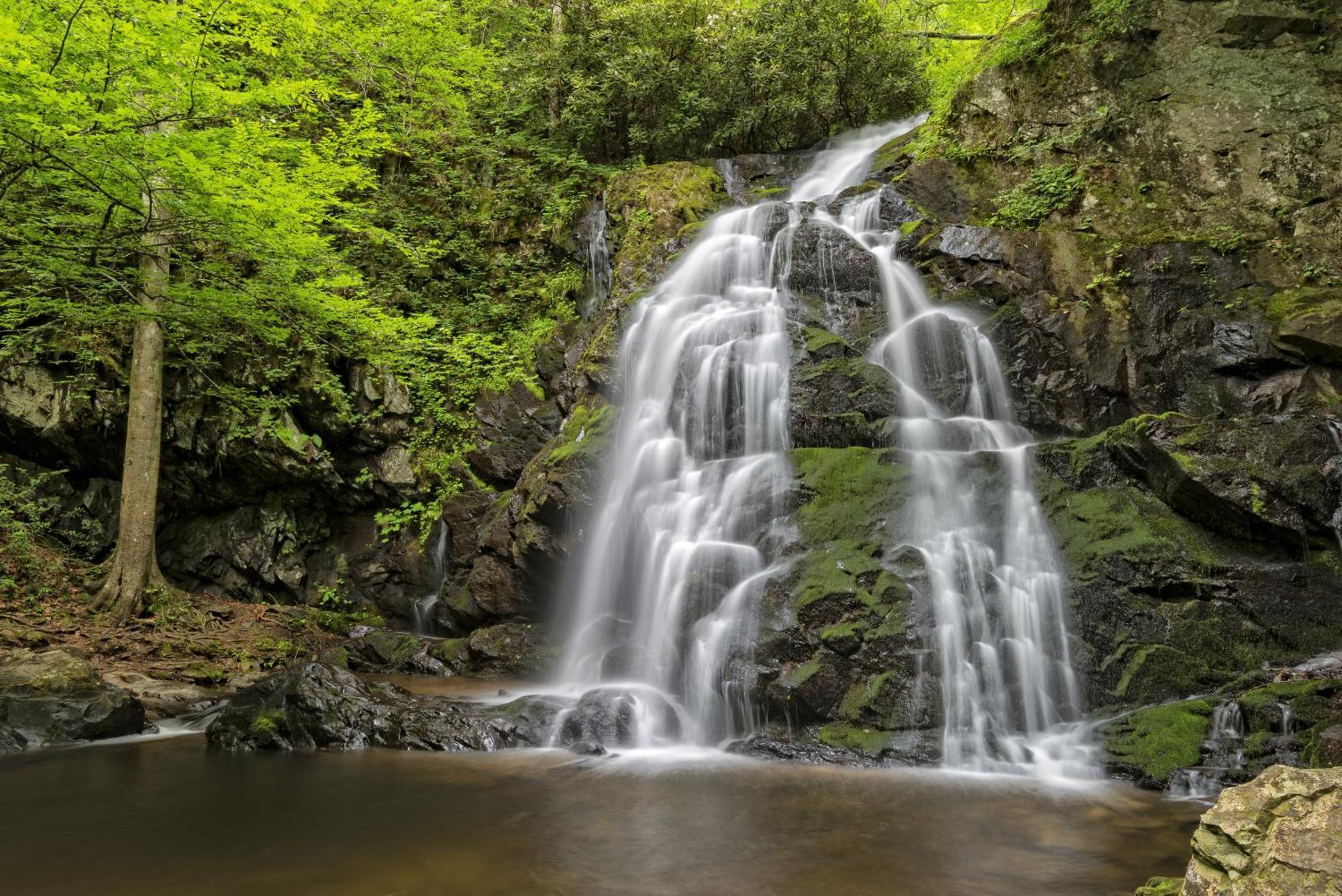Hemlock Hollow Sevierville Exteriör bild